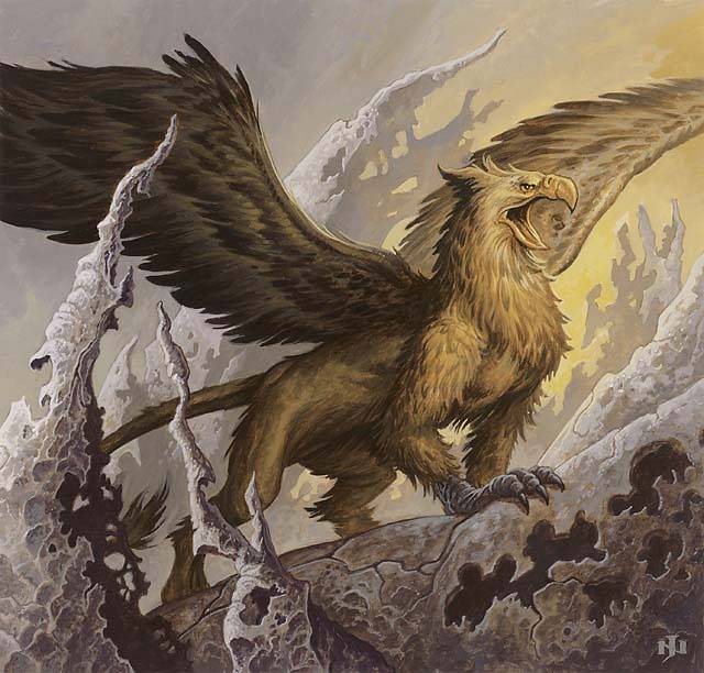 griffin-008